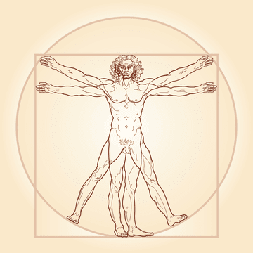 Drawing: Human proportions