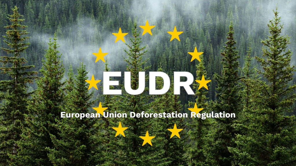 Zero Deforestation & Full Traceability: How We Provide EUDR-Ready OEM Manufacturing for European Brands