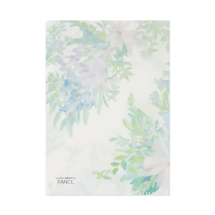 Recycling Program Clear File